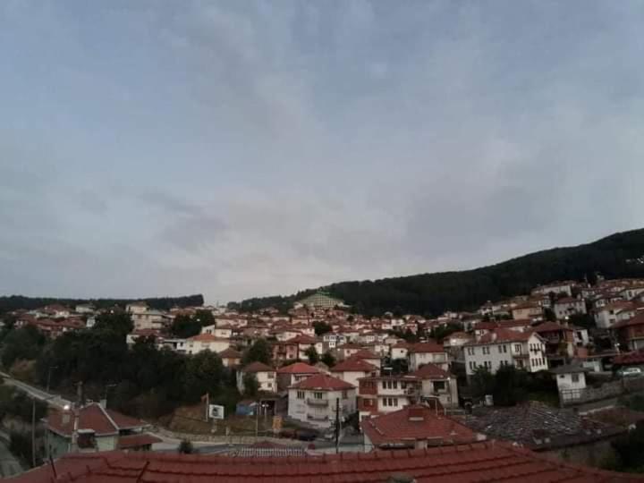 **Etno Vila** - Kruševo Buitenkant foto